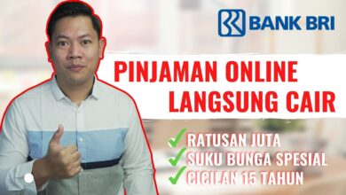 Pinjaman Online Langsung Cair: Panduan Lengkap